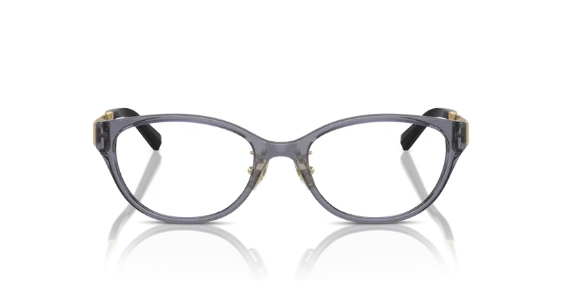 Tiffany Donna TF2252D 8405 Montature da vista Iniettato Viola Trasparente Rotonda Normale miniatura 2