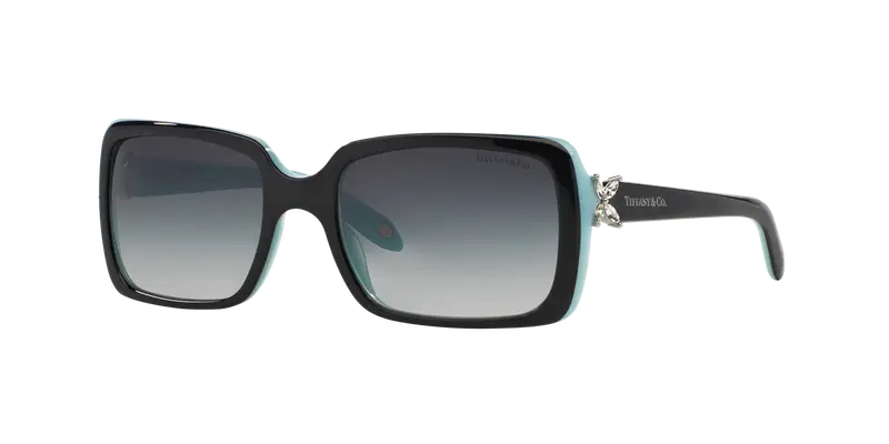 Tiffany Occhiali da sole Donna Nero 825685