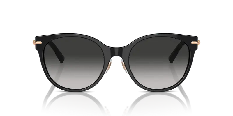 Tiffany Occhiali da sole Donna Grigio 828919 miniatura 2