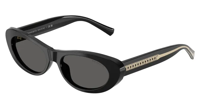 Tiffany Occhiali da sole Donna Nero 845482