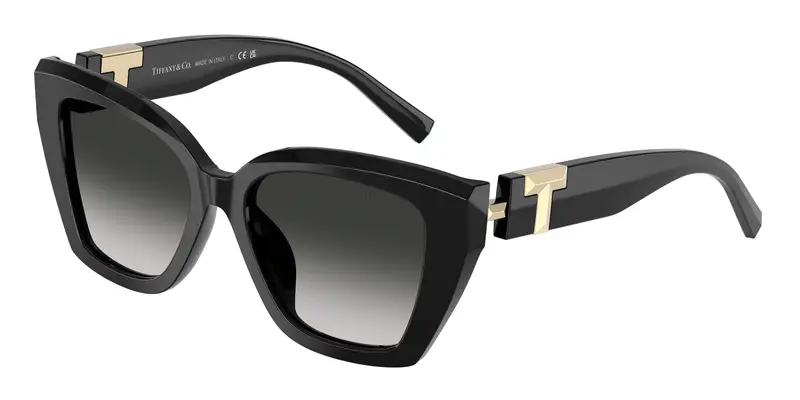 Tiffany Occhiali da sole Donna Nero 845502