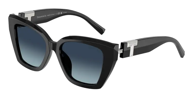 Tiffany Occhiali da sole Donna Nero 845503