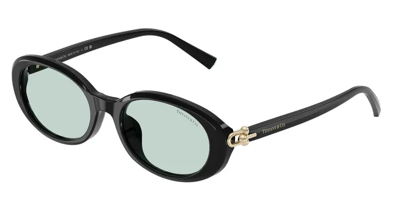Tiffany Occhiali da sole Donna Nero 845862