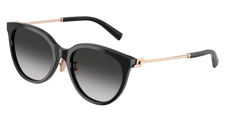 Tiffany Occhiali da sole Donna Nero 845870