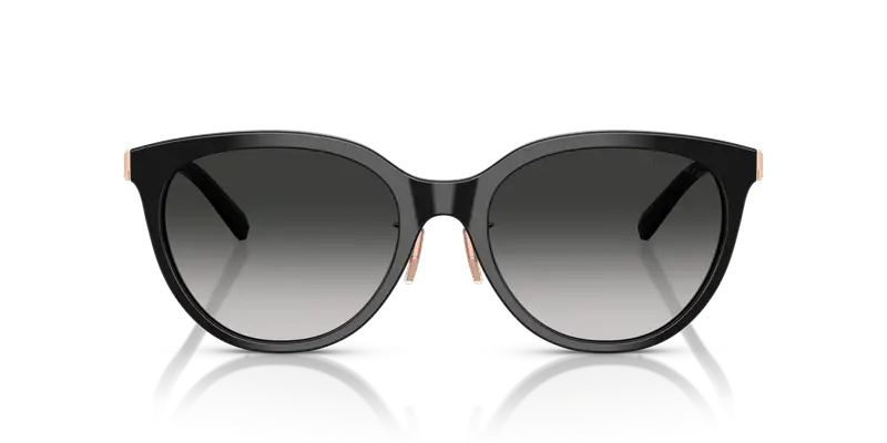 Tiffany Occhiali da sole Donna Grigio 845870 miniatura 2