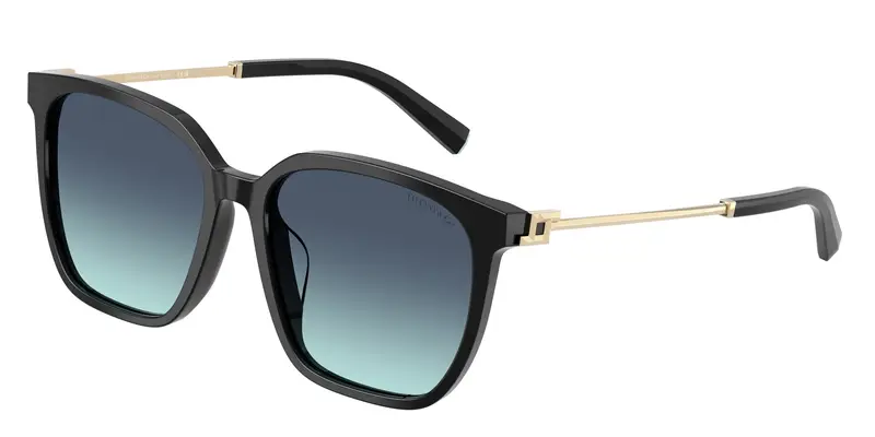 Tiffany Occhiali da sole Donna Nero 845872