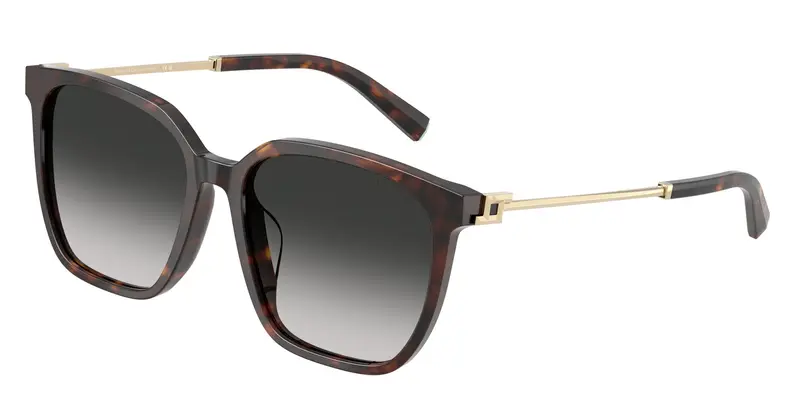 Tiffany Occhiali da sole Donna Testa di moro 845873