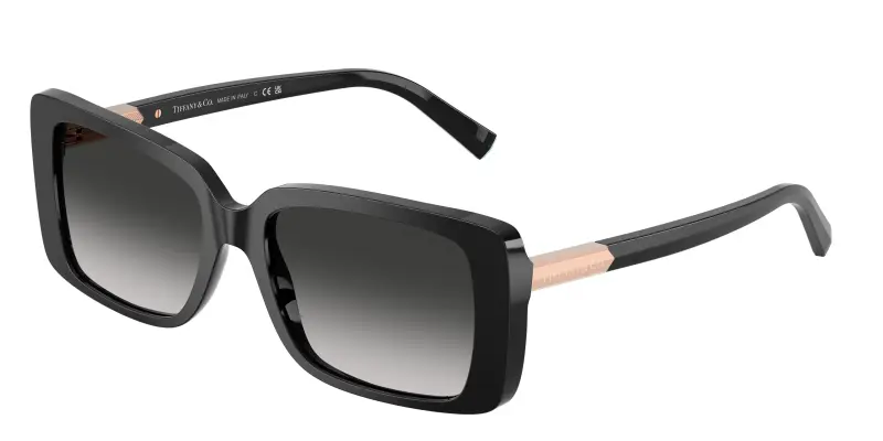 Tiffany Occhiali da sole Donna Nero 3182929