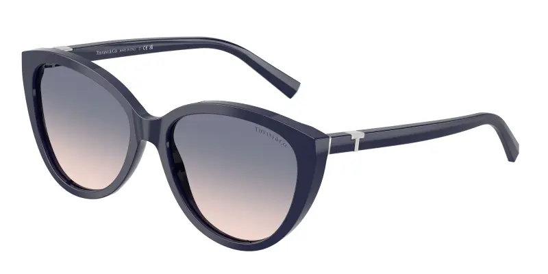 Tiffany Occhiali da sole Donna Marrone 3182568