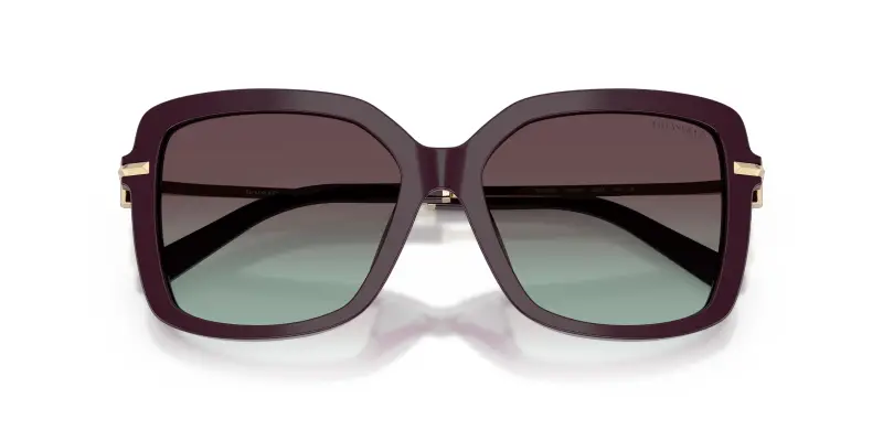 Tiffany Occhiali da sole Donna Nero 3182990 miniatura 2