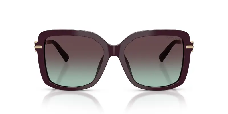 Tiffany Occhiali da sole Donna Nero 3182990 miniatura 3