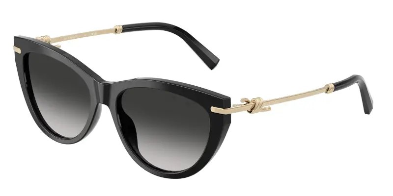 Tiffany Occhiali da sole Donna Nero 3182923