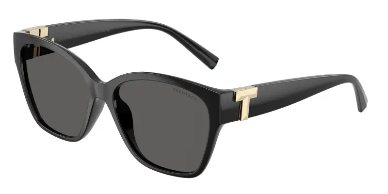 Tiffany Occhiali da sole Donna Nero 4304797