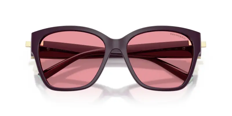 Tiffany Occhiali da sole Donna Nero 4304796 miniatura 2