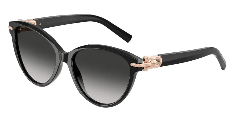 Tiffany Occhiali da sole Donna Nero 4304790