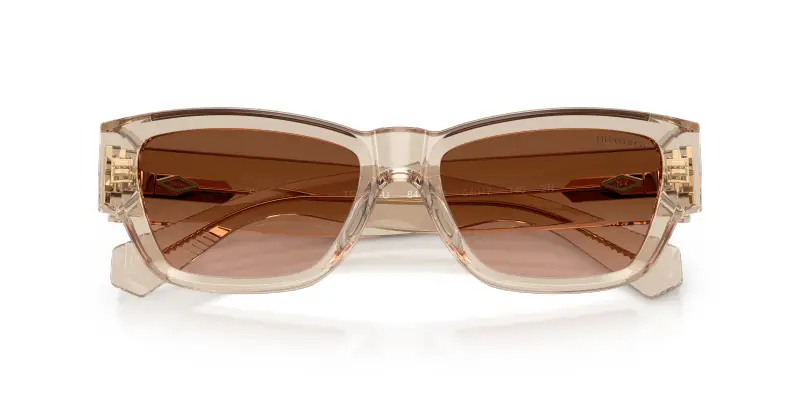 Tiffany Occhiali da sole Donna Marrone 4302183 miniatura 2