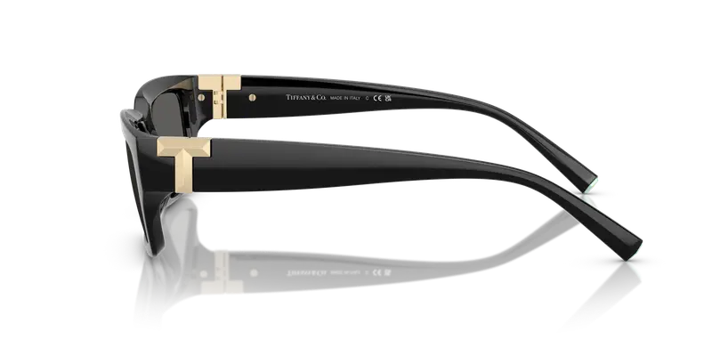 Tiffany Unisex TF4226U 8001S4 Occhiali da sole Iniettato Nero Grigio Squadrata Normale miniatura 3