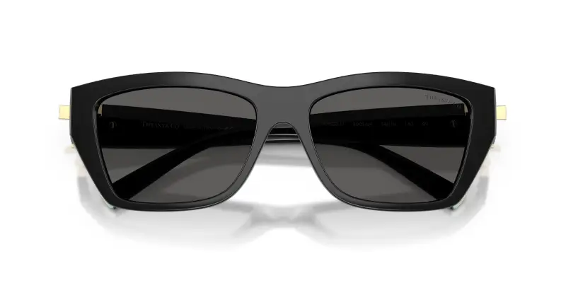 Unisex Tiffany TF4255U 8001S4 Occhiali da sole Iniettato Nero Grigio Squadrata Normale miniatura 2