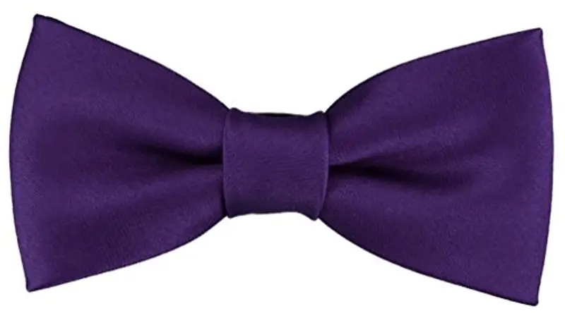 TigerTie Papillon Bambino Viola 2298673
