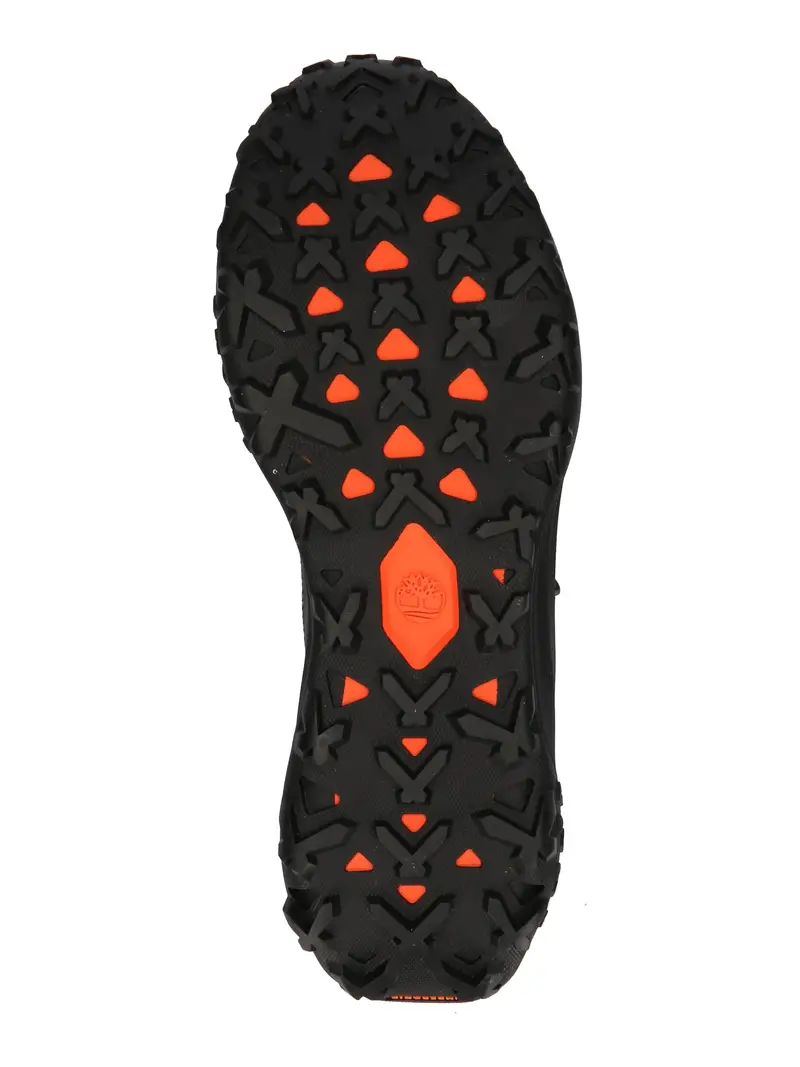 TIMBERLAND Sneaker bassa grigio / aragosta / nero miniatura 2