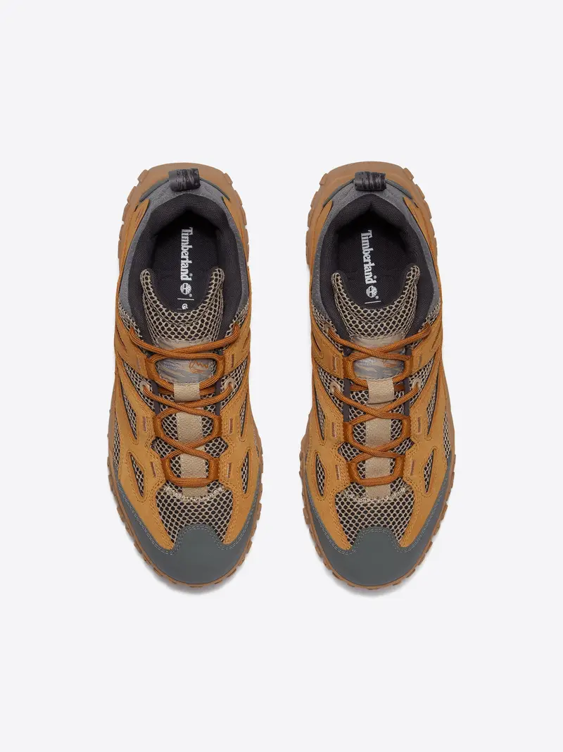 TIMBERLAND Sneaker bassa marrone chiaro / grigio miniatura 2