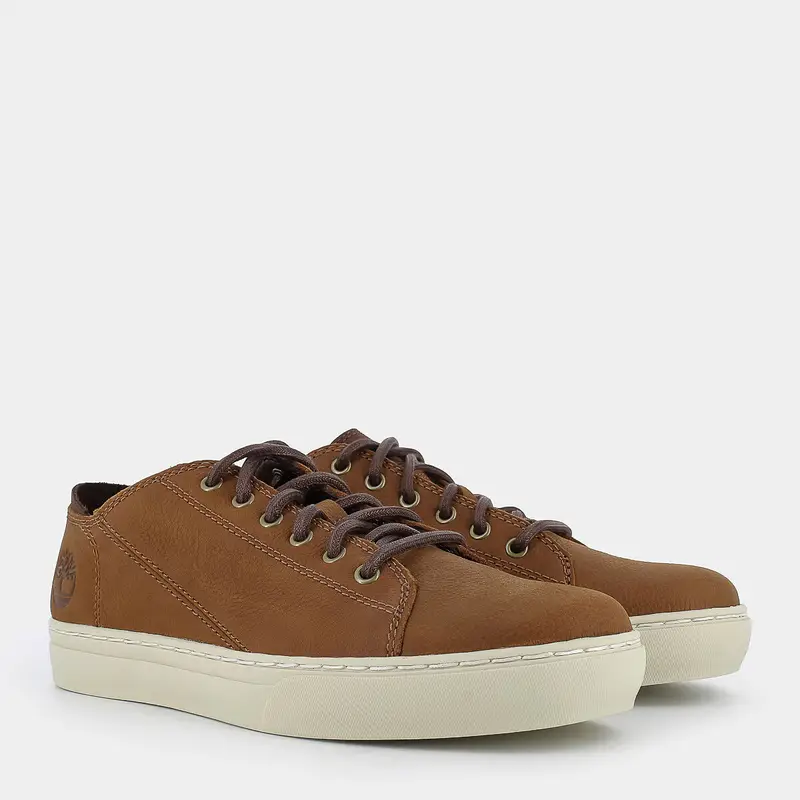 Sneakers Timberland da Uomo, marrone miniatura 2