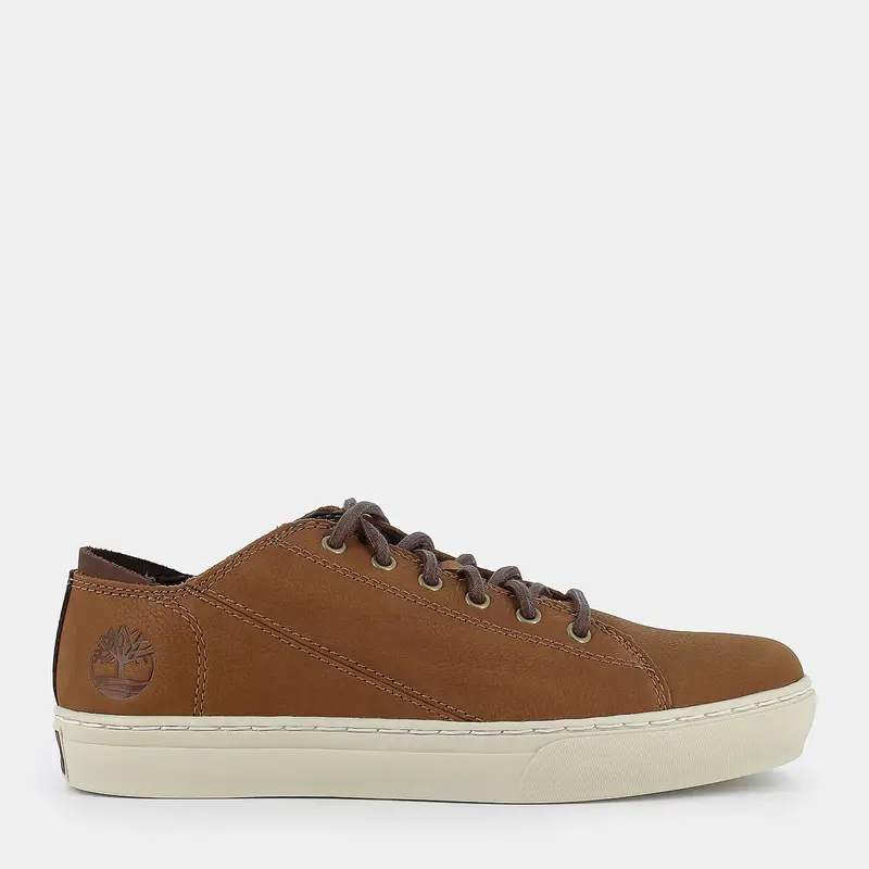 Sneakers Timberland da Uomo, marrone