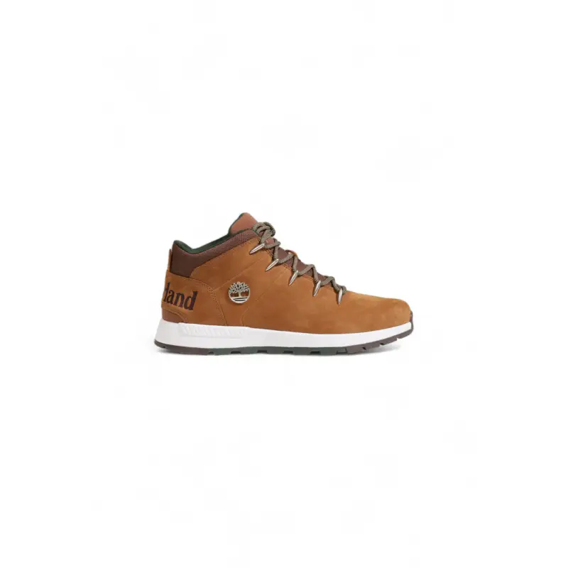 Sneakers Uomo Marroni - Timberland - brown / 40