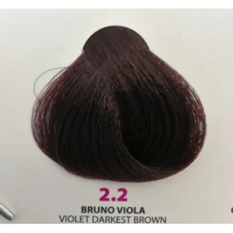 Tintura Wind Colour 2.2 Bruno Viola 100 ml