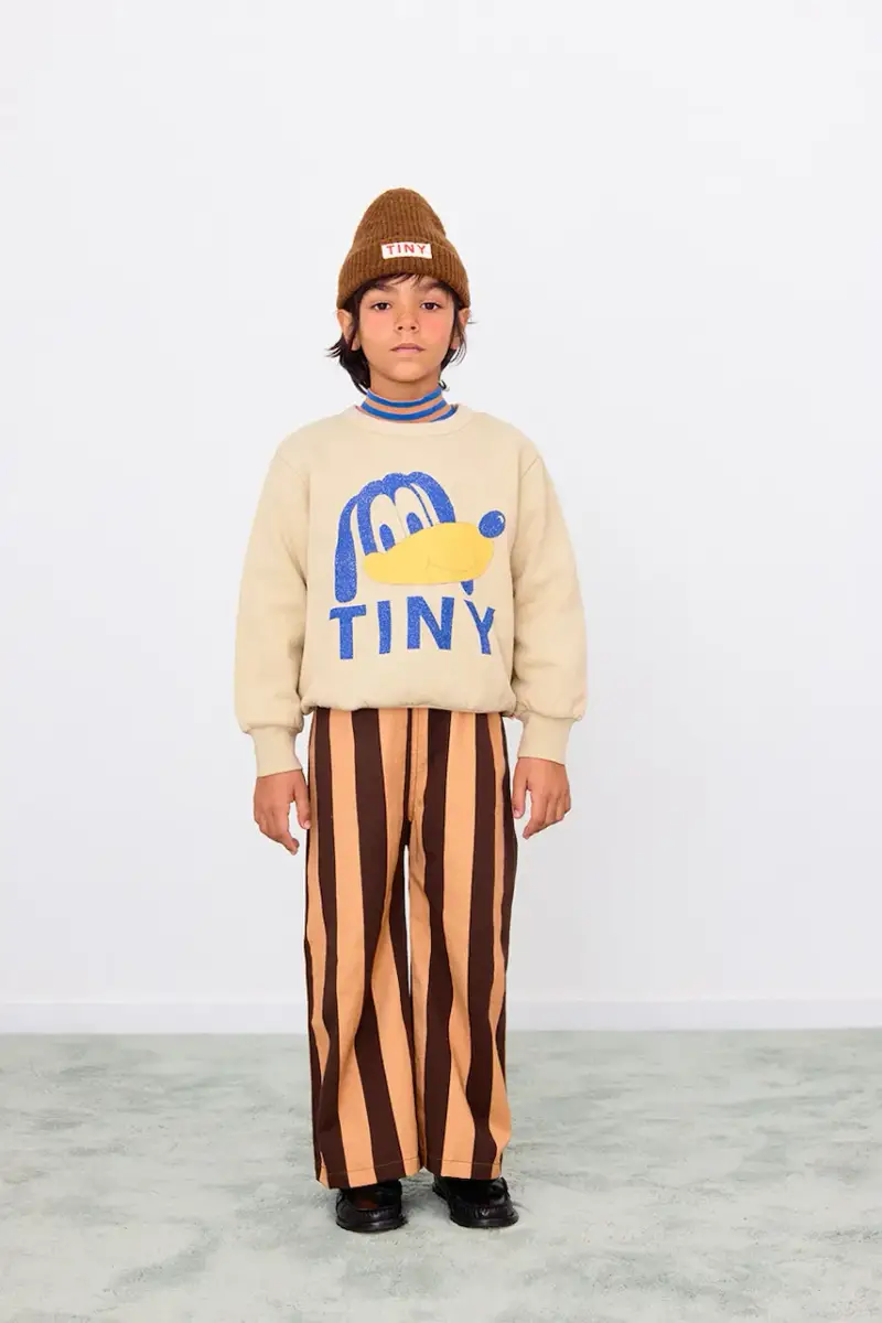 felpa in cotone bambino/a TINY DOG GRAPHIC SWEATSHIRT colore beige AW25-289 miniatura 4