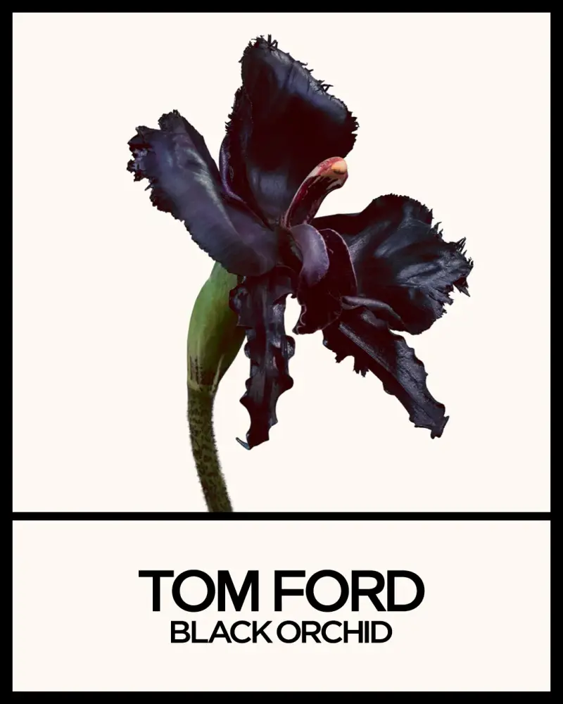 Tom Ford Eau de Parfum Uomo 3016766 miniatura 2