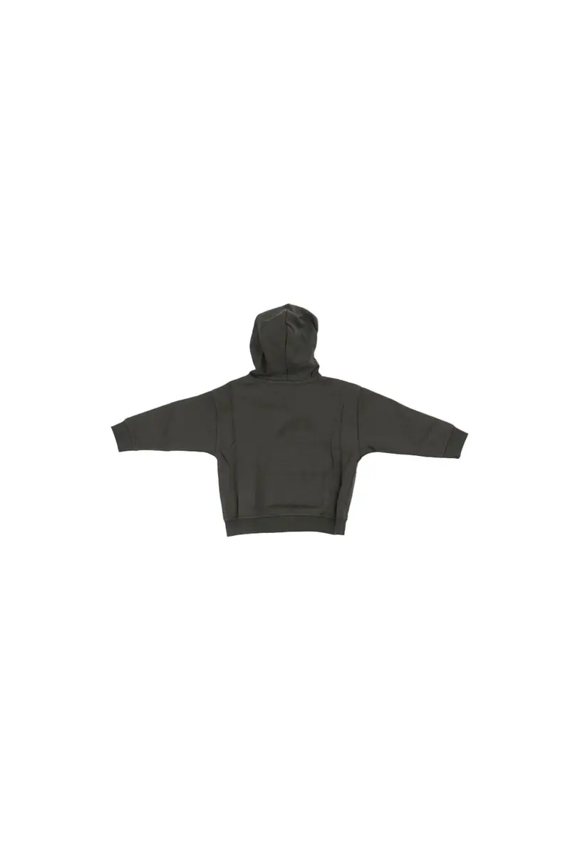 Felpa Bambino TOMMY HILFIGER Verde Flag hoodie miniatura 2