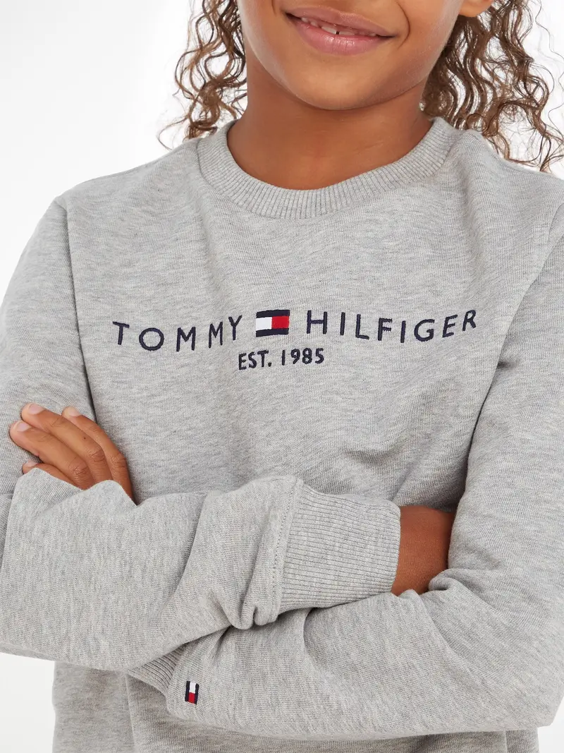TOMMY HILFIGER Felpa blu notte / grigio sfumato / rosso / bianco miniatura 2