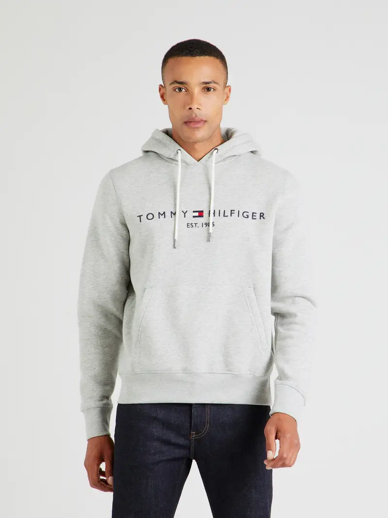 TOMMY HILFIGER Felpa navy / grigio sfumato / rosso / bianco miniatura 2