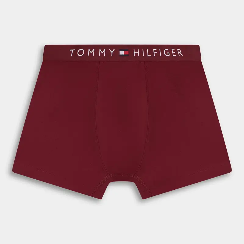 Intimo Tommy Hilfiger da Uomo, blu miniatura 2