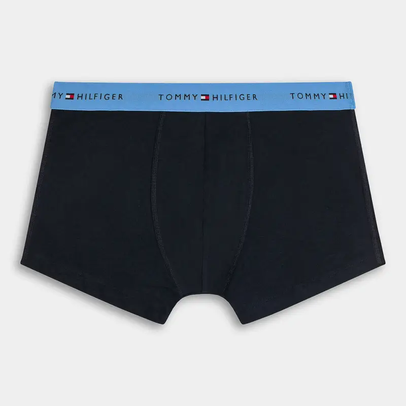 Intimo Tommy Hilfiger da Uomo, blu miniatura 2
