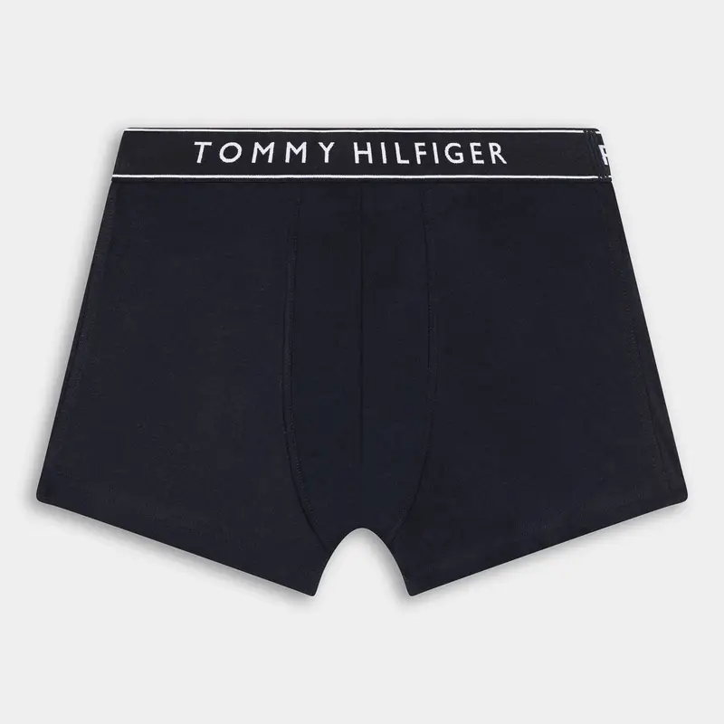 Intimo Tommy Hilfiger da Uomo, blu miniatura 2