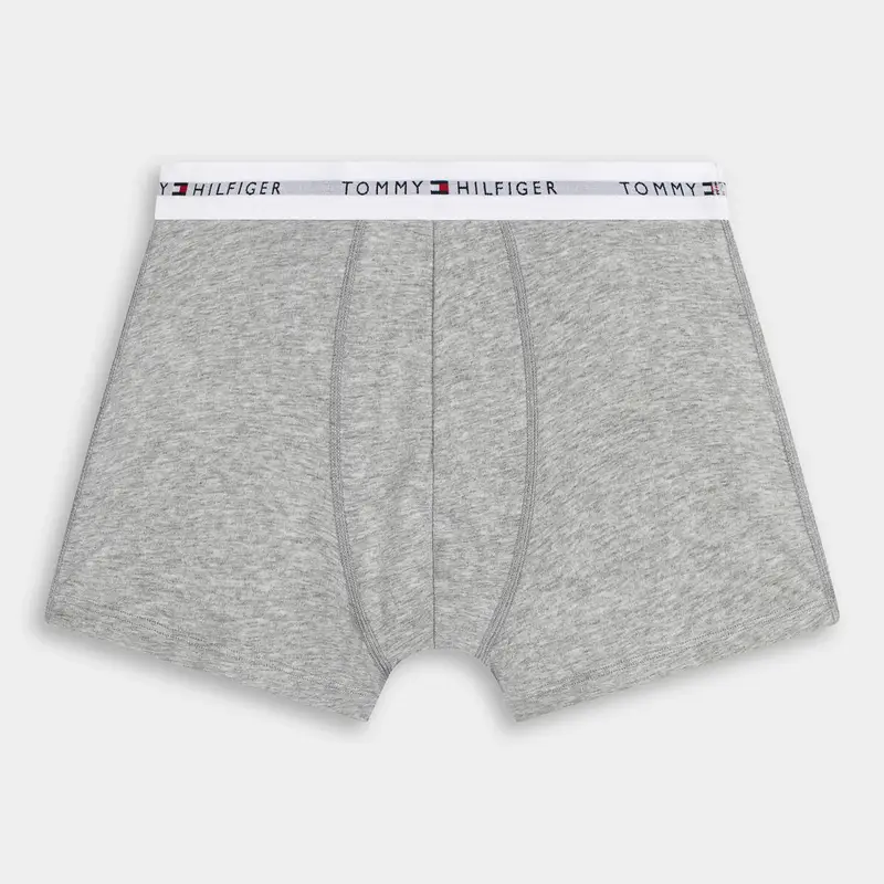 Intimo Tommy Hilfiger da Uomo, grigio miniatura 2