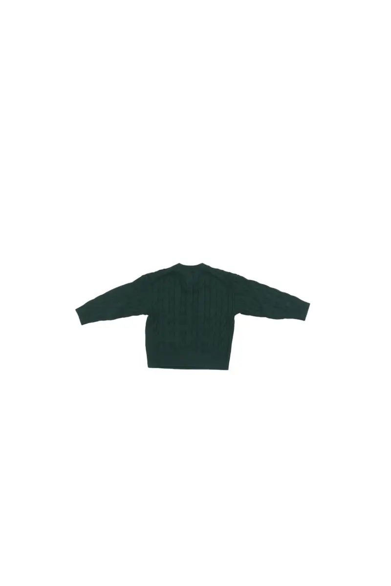 Maglia Bambino TOMMY HILFIGER Green Cotton cable crest c-nk sweate