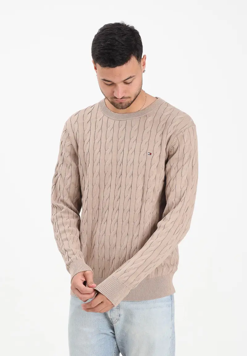Maglioncino girocollo beige da uomo con ricamo bandierina miniatura 2