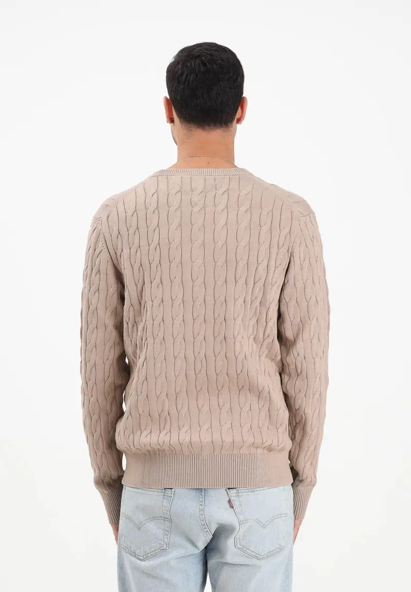 Maglioncino girocollo beige da uomo con ricamo bandierina miniatura 3