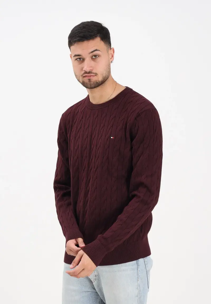 Maglioncino girocollo bordeaux da uomo con ricamo bandierina miniatura 2