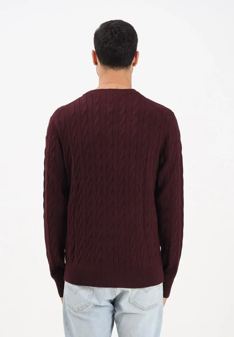 Maglioncino girocollo bordeaux da uomo con ricamo bandierina miniatura 3