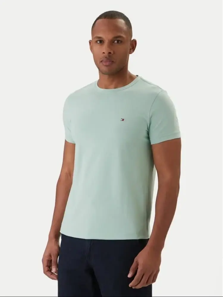 tshirt verde salvia uomo mini logo