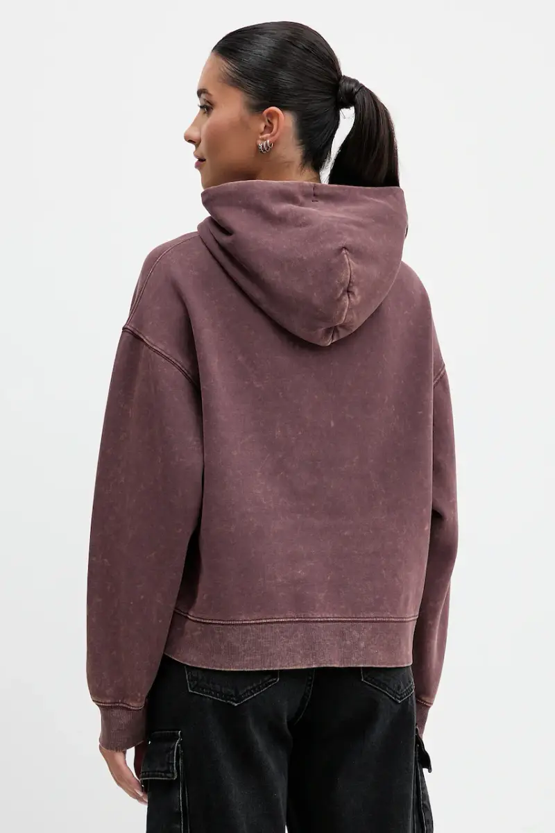 felpa donna colore marrone con cappuccio DW0DW21609 miniatura 3