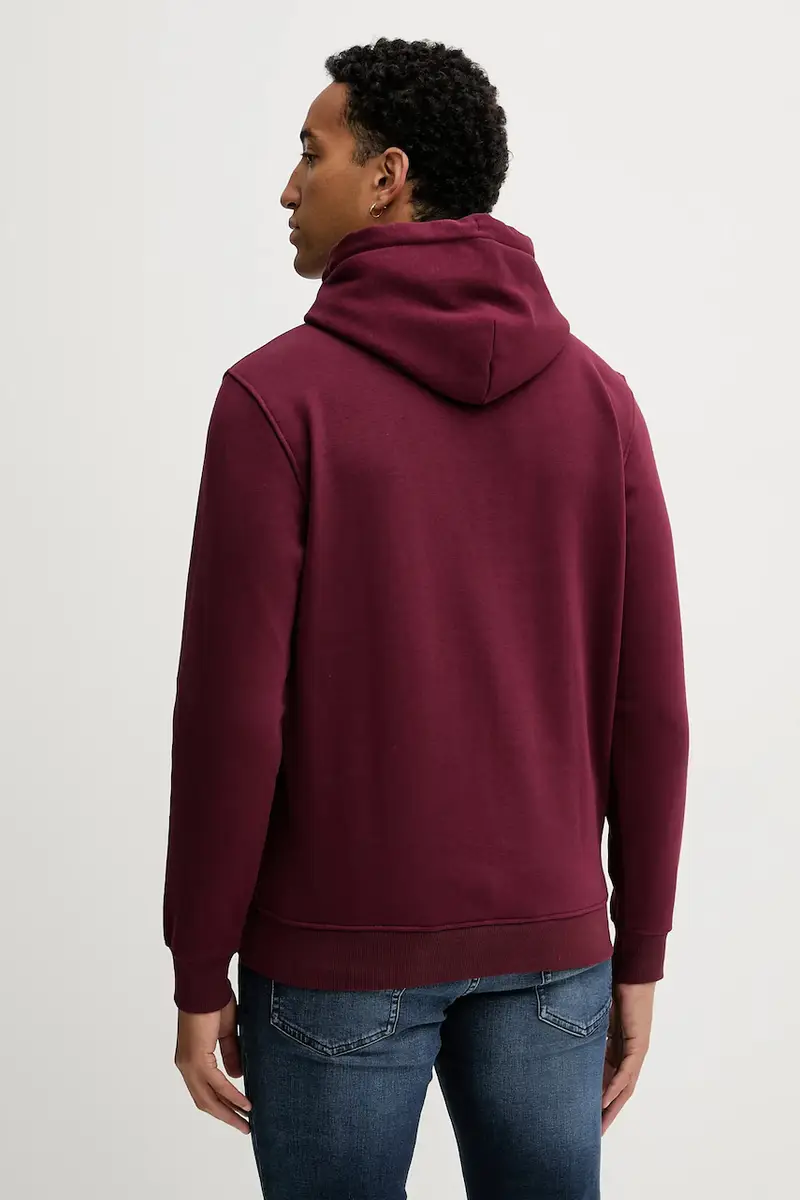 felpa uomo colore verde con cappuccio con applicazione DM0DM20738 Granata miniatura 3