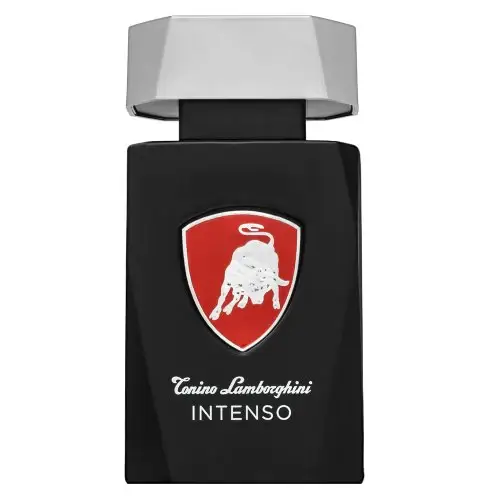 Intenso EDT M 75 ml