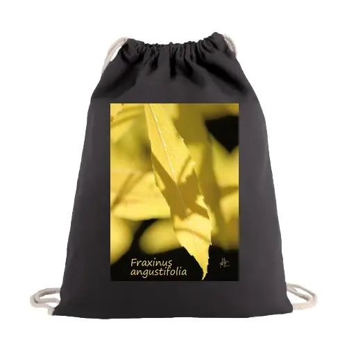 Sacca sportiva autunno di cenere