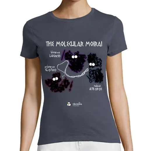 Tostadora T-shirt Donna 3646153