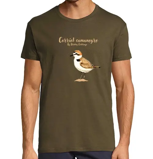 Tostadora T-shirt Uomo 3264258